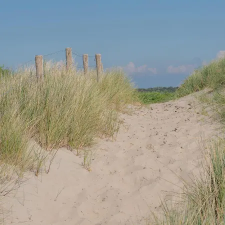 Holiday Zeepark Zeepolder-6 By Interhome Holiday home *